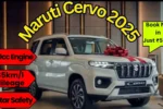https://dulutheastsoccer.com/maruti-cervo-2025/